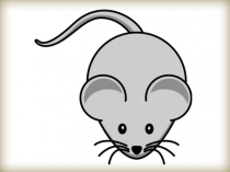 animasi-tikus